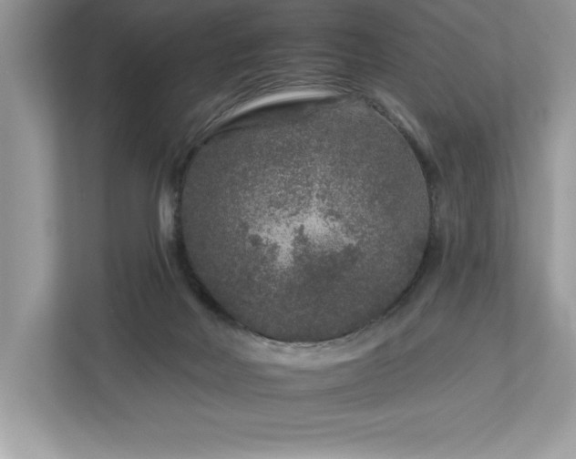 X0000112930026200908241309