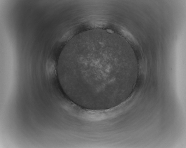 X0000112930029200908241309