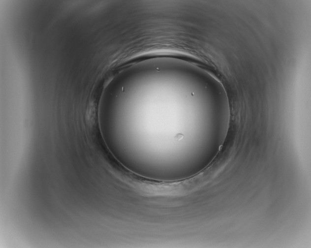 X0000112930036200908241309