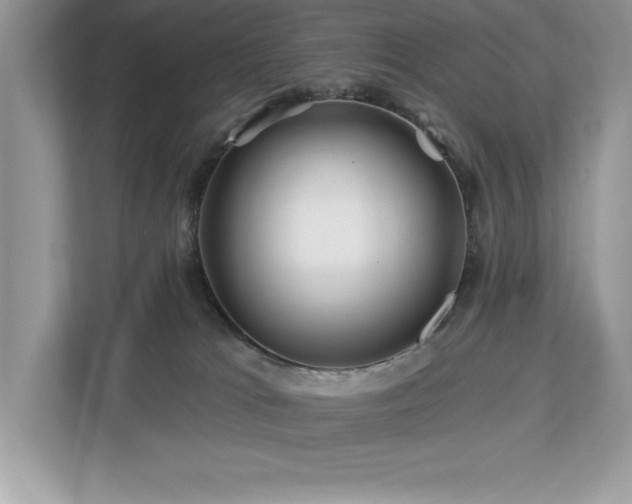 X0000112930037200908241309