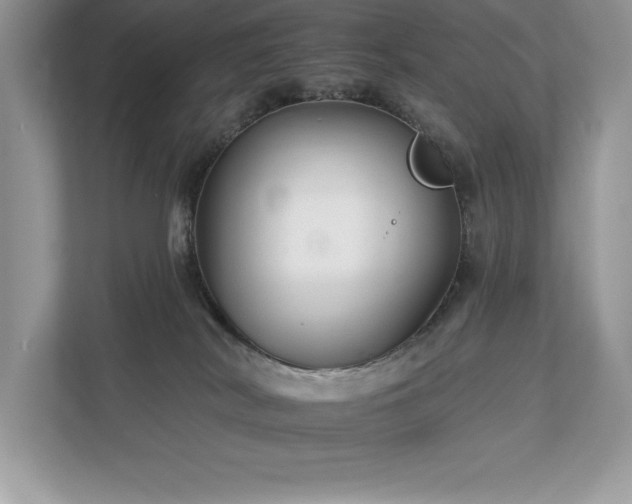 X0000112930038200908241309