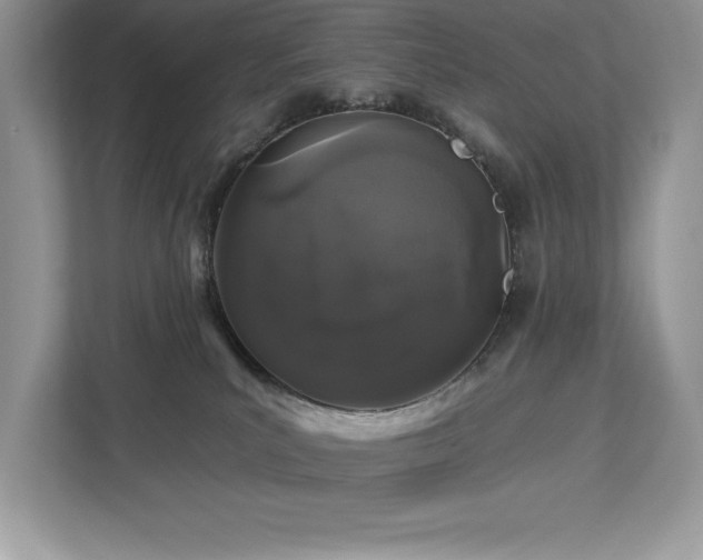 X0000112930039200908241309