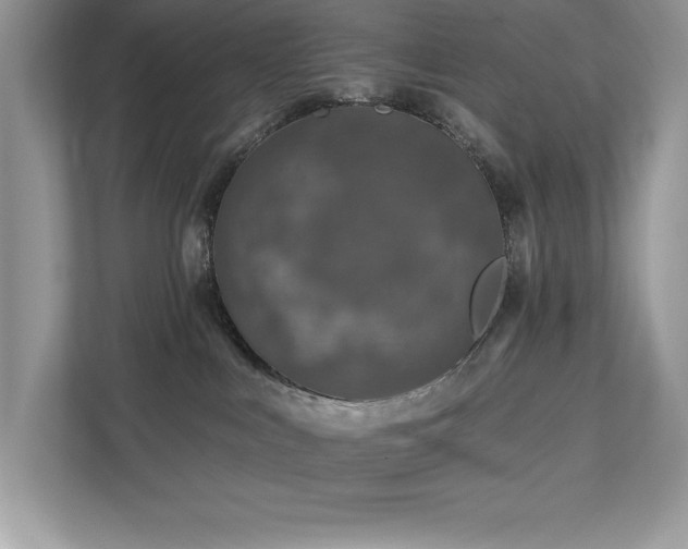 X0000112930043200908241309