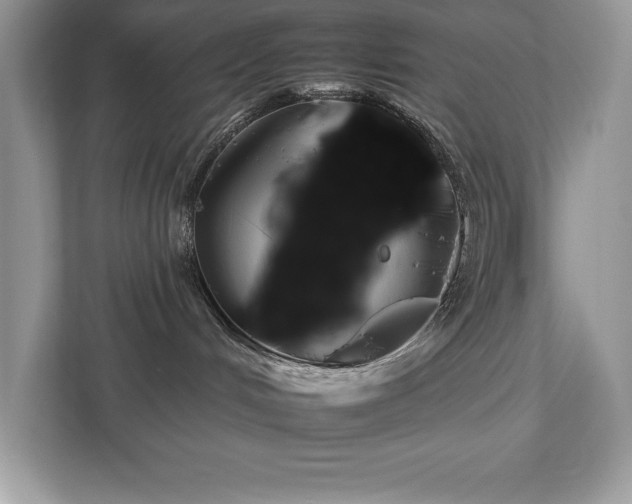 X0000112930048200908241309