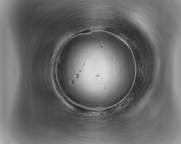 X0000112930049200908241308