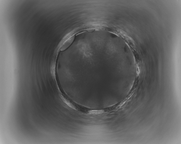 X0000112930051200908241308