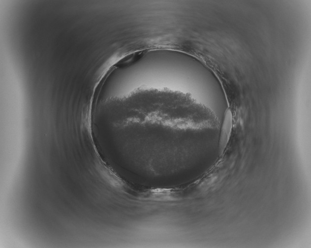 X0000112930052200908241308