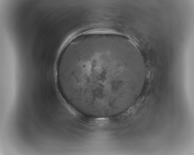 X0000112930053200908241308