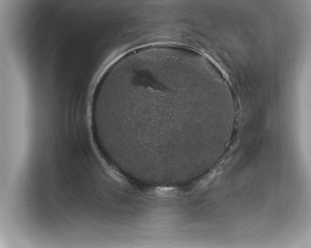 X0000112930055200908241308