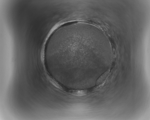 X0000112930056200908241308