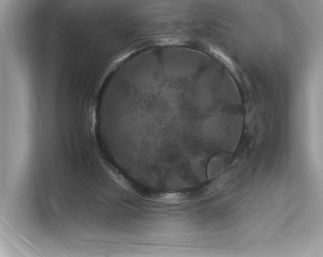 X0000112930059200908241308