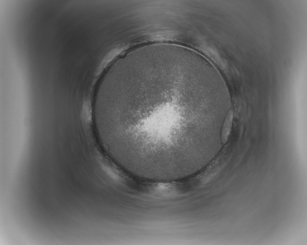 X0000112930060200908241308