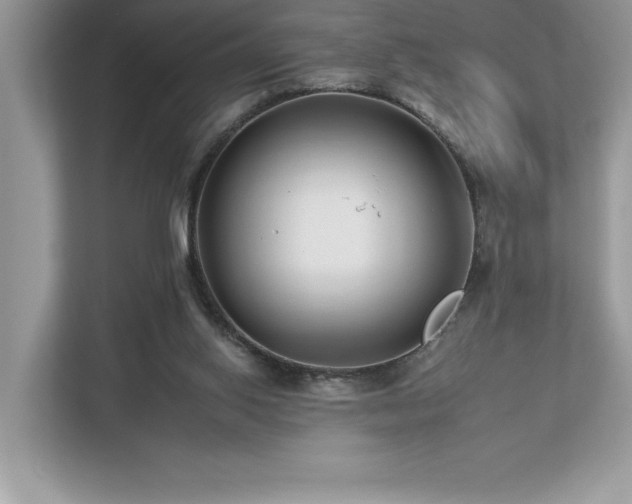 X0000112930062200908241308