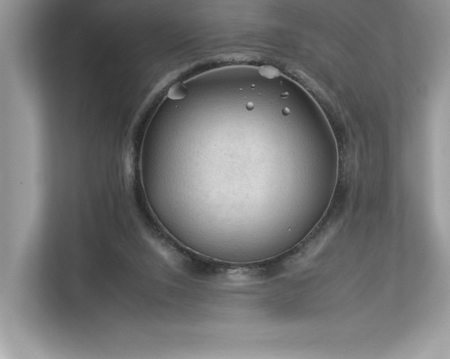 X0000112930064200908241308