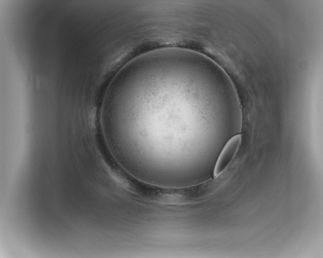 X0000112930066200908241308