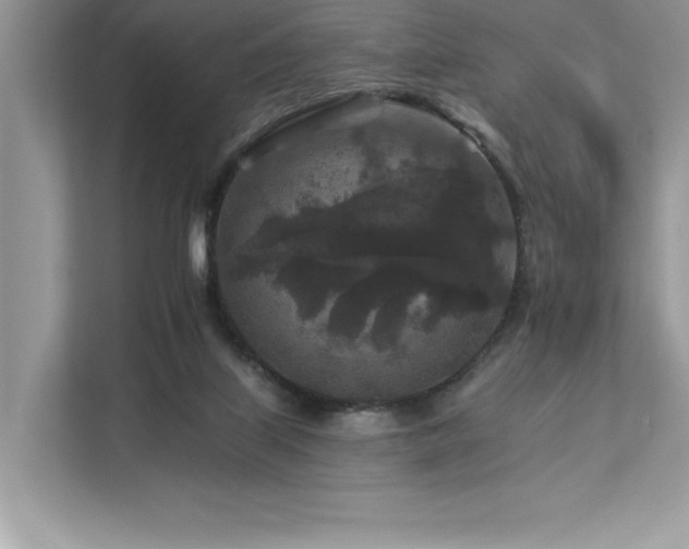 X0000112930067200908241308