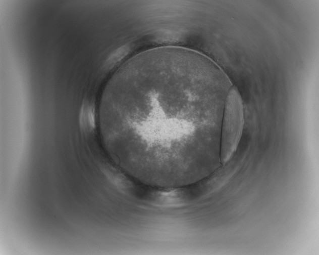 X0000112930068200908241308