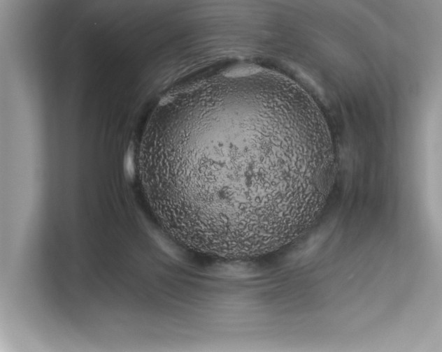 X0000112930069200908241308