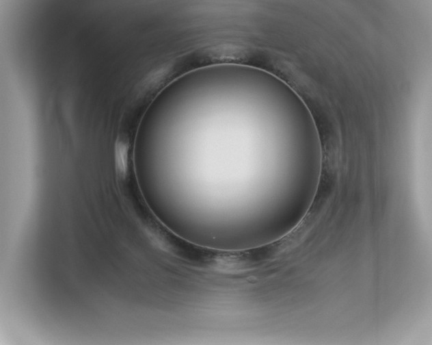 X0000112930070200908241309