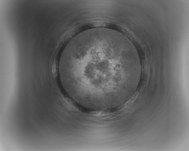 X0000112930074200908241309