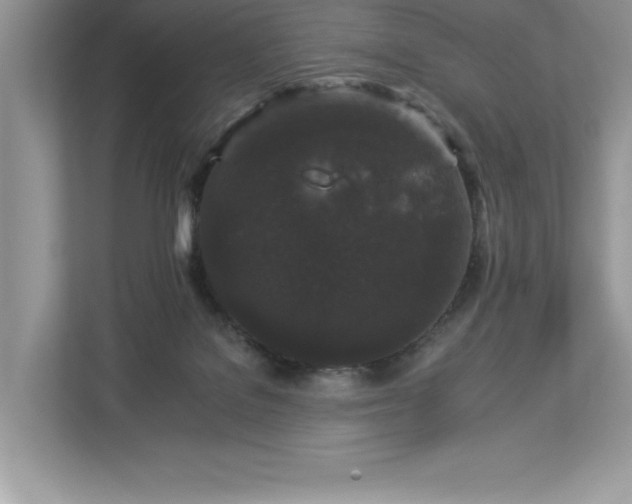 X0000112930076200908241309