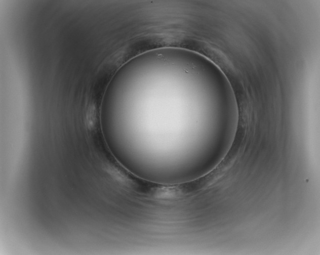 X0000112930077200908241309