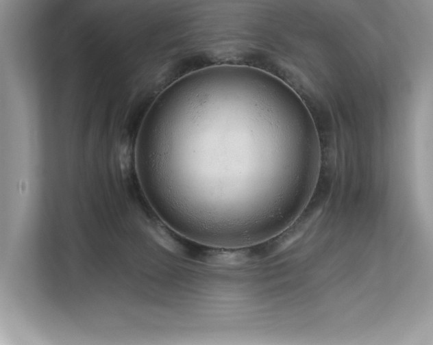 X0000112930081200908241309