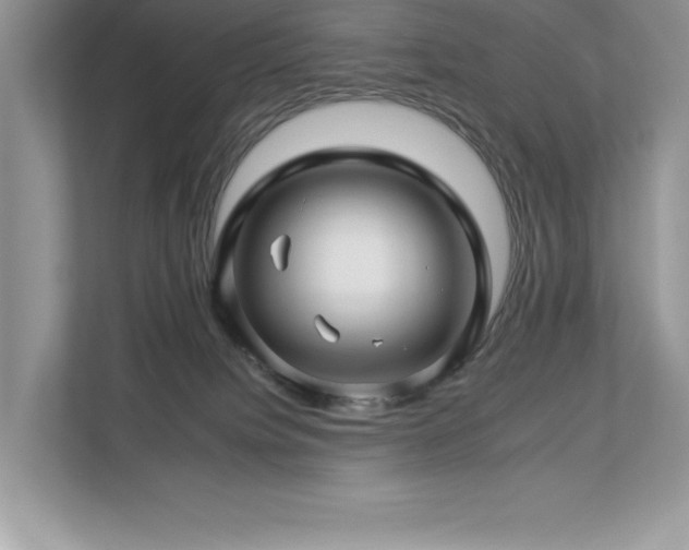 X0000112930084200908241309