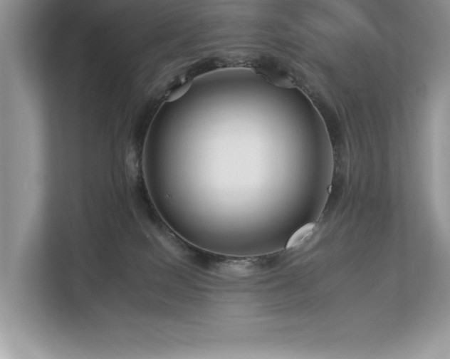 X0000112930086200908241309