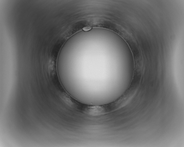 X0000112930087200908241309