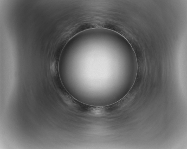 X0000112930088200908241309