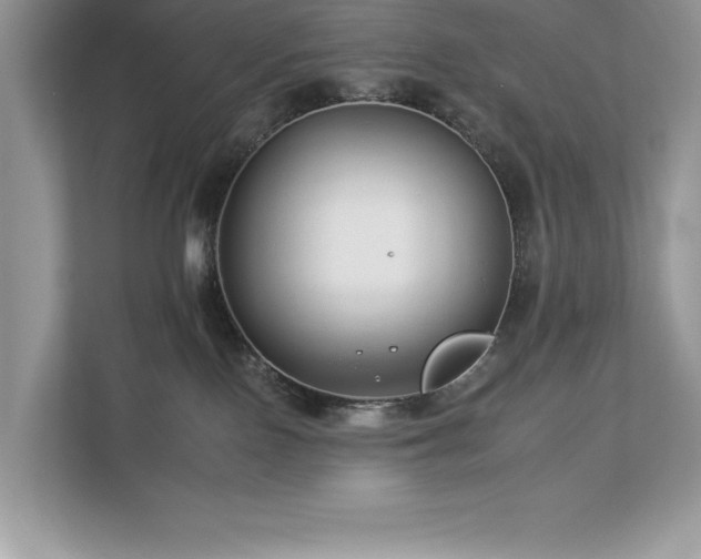 X0000112930090200908241309