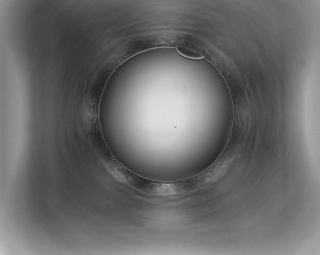 X0000112930091200908241309