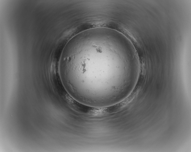 X0000112930093200908241309