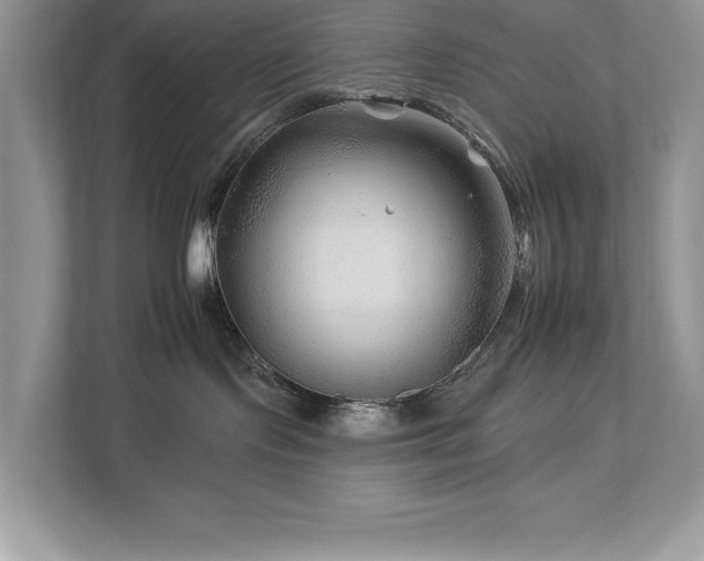 X0000112930095200908241309