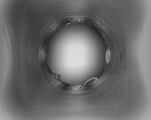 X0000112930096200908241309