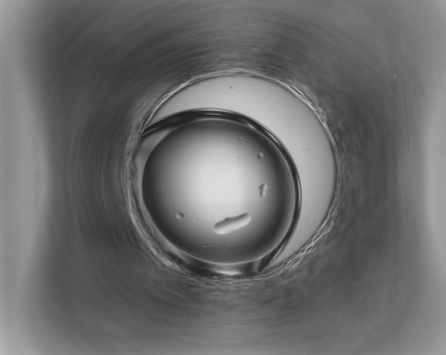 X0000112930097200908241308