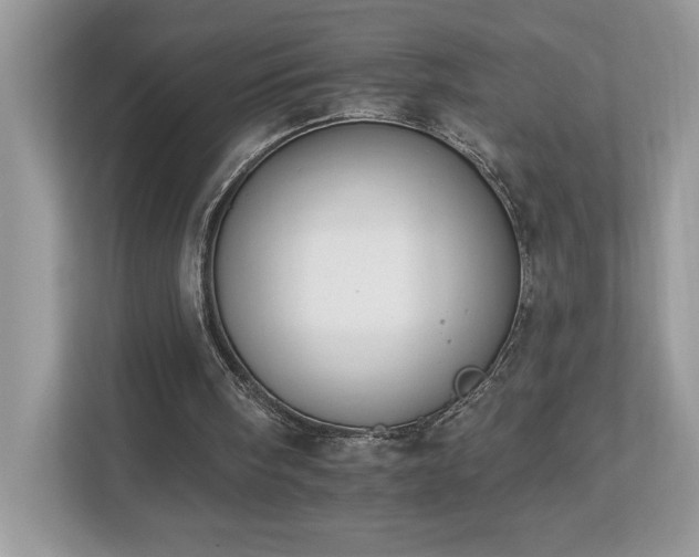 X0000112930098200908241308