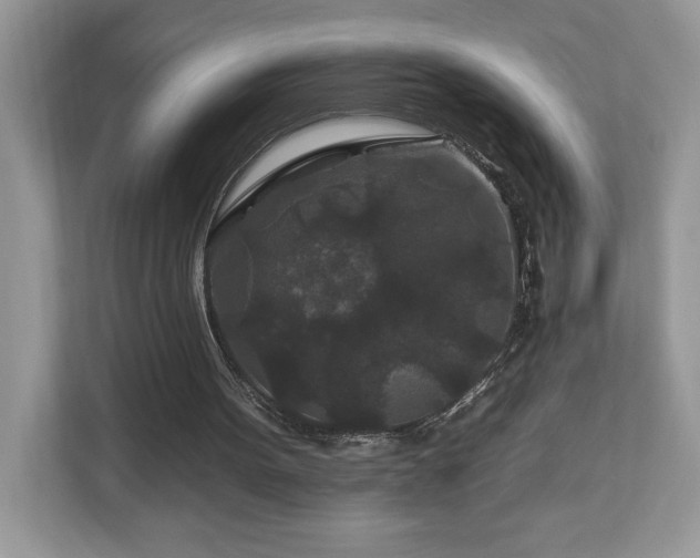 X0000112930099200908241308