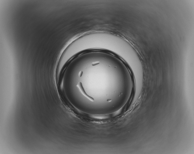 X0000112930100200908241308