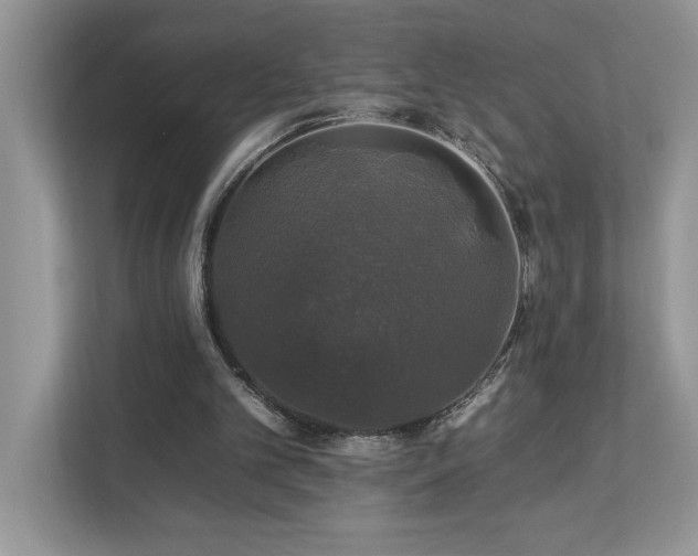 X0000112930101200908241308