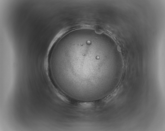 X0000112930102200908241308