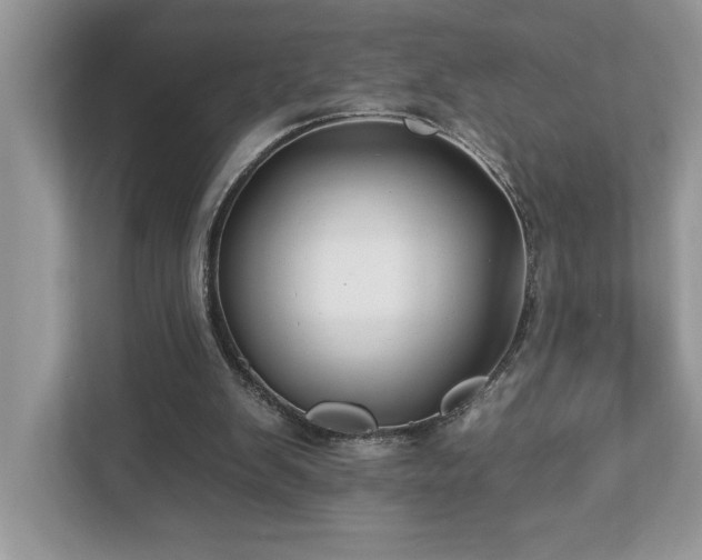 X0000112930103200908241308