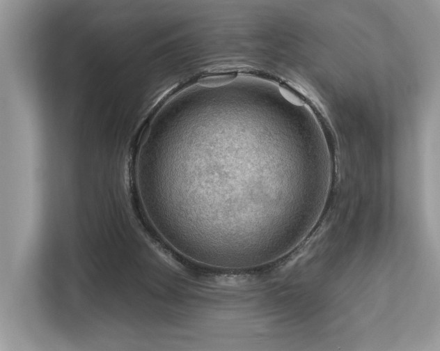 X0000112930105200908241308