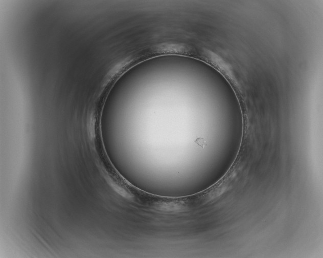 X0000112930106200908241308