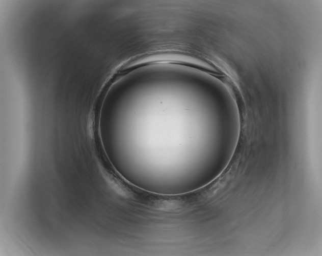 X0000112930107200908241308