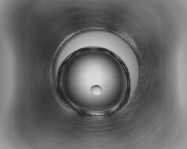 X0000112930108200908241308