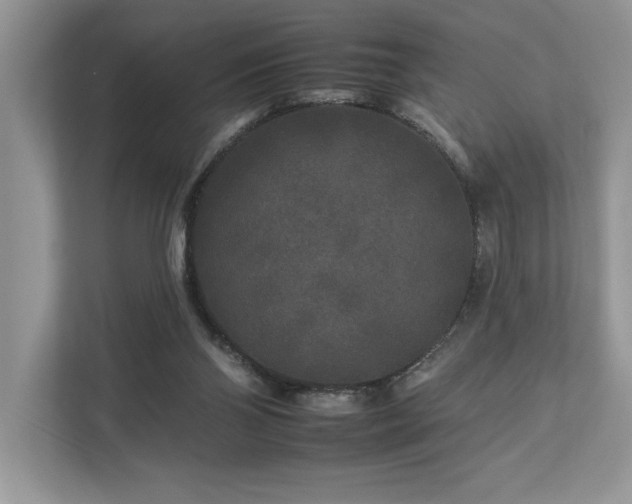 X0000112930110200908241308