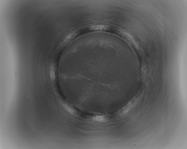 X0000112930114200908241308