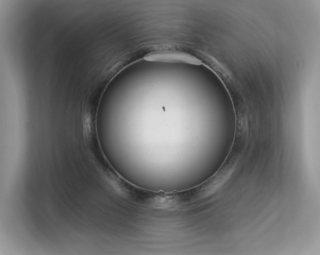 X0000112930117200908241308